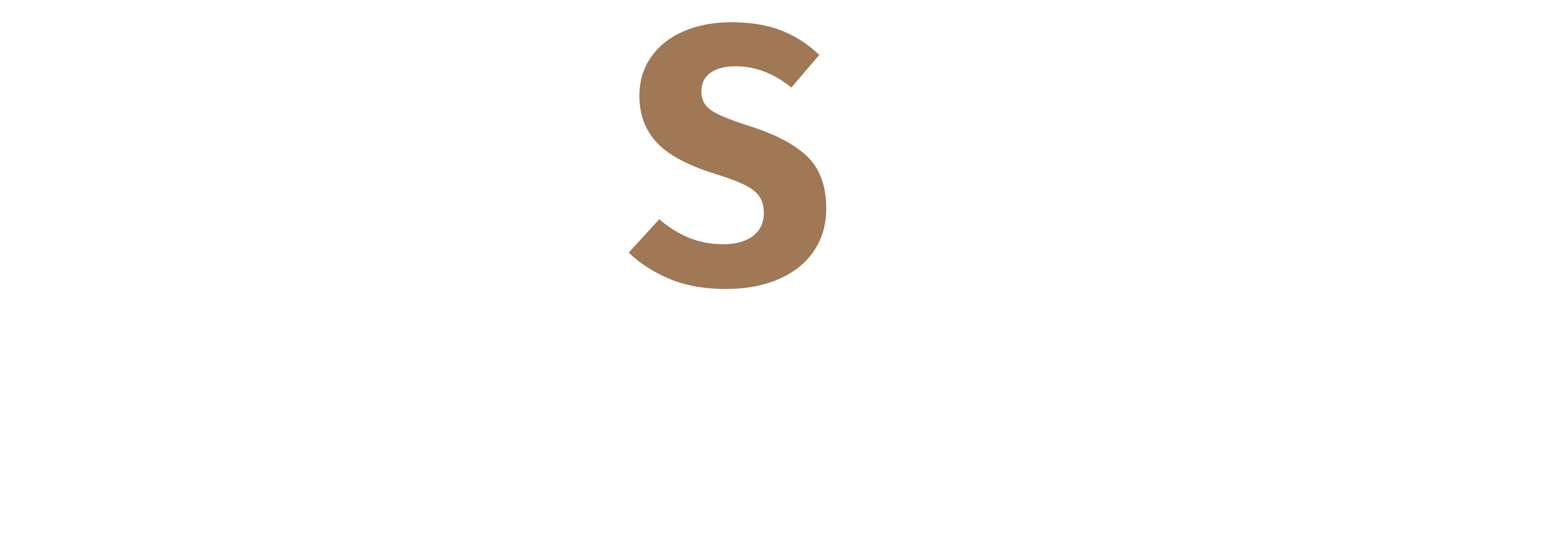 ES Demo Logo